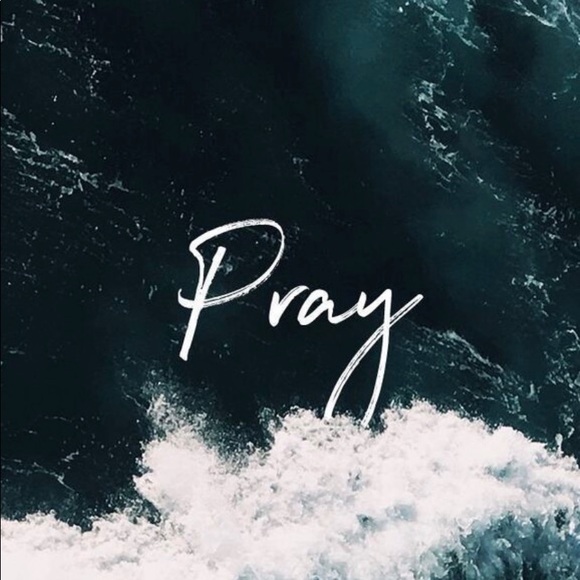 Meet your Posher, Shelby - Picture 2 of 10